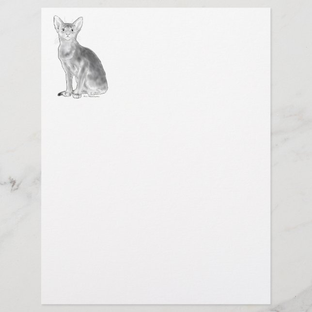 白黒アビー (正面)