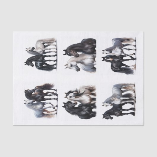 白黒アラビア馬ペア 薄葉紙 (正面)