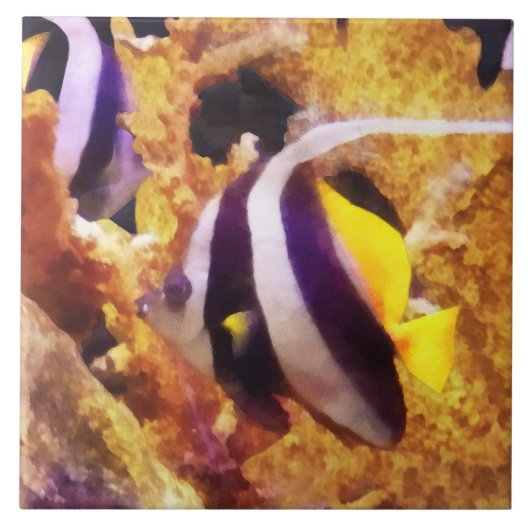 白黒アンジェフストライプのィッシュ タイル (正面)