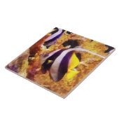 白黒アンジェフストライプのィッシュ タイル (側面)