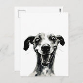 白黒ウィペット |かわいいグレイハウンド ポストカード (正面/裏面)