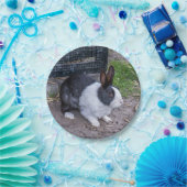 白黒ウサギ紙プレート ペーパープレート (パーティー)