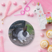 白黒ウサギ紙プレート ペーパープレート (パーティー)