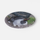 白黒ウサギ紙プレート ペーパープレート (アングル)