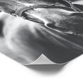 白黒ウマポートレート写真ポスター ポスター (角)