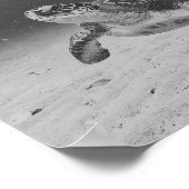 白黒ウミガメ熱帯印刷芸術 ポスター (角)