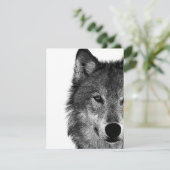 白黒ウルフアイアートワーク カード (スタンド正面)