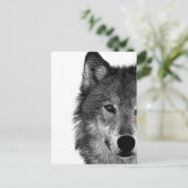 白黒ウルフアイアートワーク シーズンポストカード (スタンド正面)