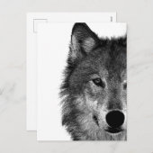 白黒ウルフアイアートワーク シーズンポストカード (正面/裏面)