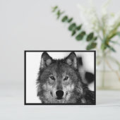 白黒ウルフアートワーク ポストカード (スタンド正面)