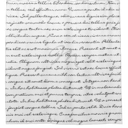 白黒エレガントでカスタムな文字 シャワーカーテン