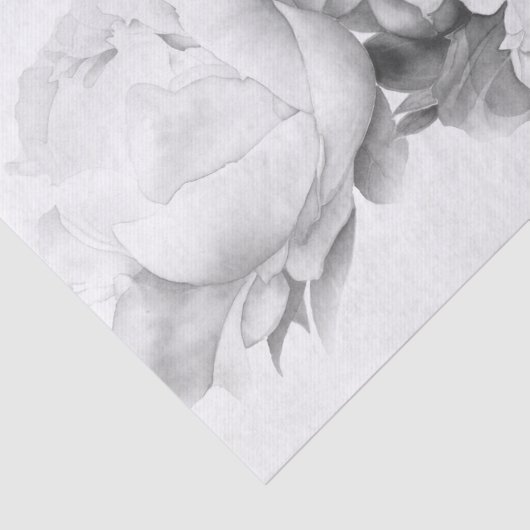 白黒エレガント牡丹フローラ水彩画 薄葉紙 (詳細)
