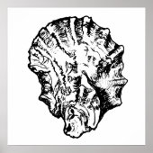 白黒オイスターシェルポスター ポスター (正面)