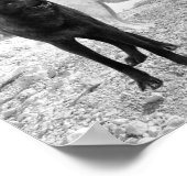 白黒オオカミの川の風景 ポスター (角)