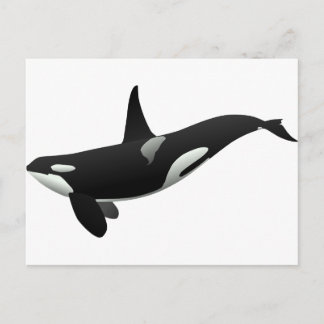 白黒オルカキラークジラ ポストカード