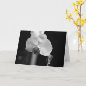 白黒オーキッド写真「ハッピーバースデー!」 カード (黄色い花)