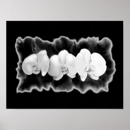 白黒オーキッド水絵画色のフローラ ポスター