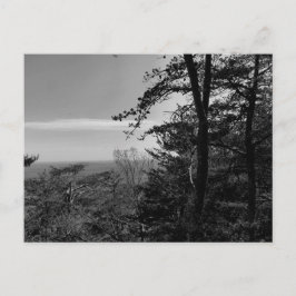 白黒カスタム写真付きはがき ポストカード