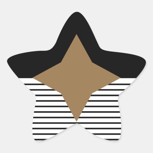 白黒カラーブロック&ブラウンダイヤモンド 星シール (正面)