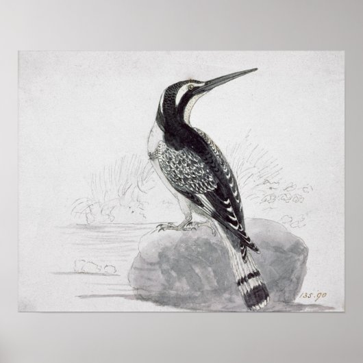 白黒カワセミ ポスター (正面)
