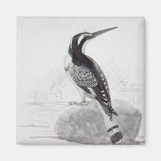 白黒カワセミ マグネット (正面)