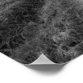 白黒カントリーロード20x16ポスタープリントアート ポスター (角)