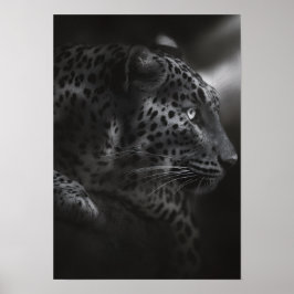 白黒カンバ(&W) ポスター