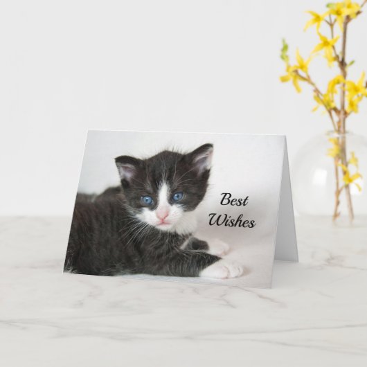 白黒キットンおめでとう結婚さん カード (黄色い花)