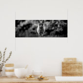 白黒キツネ ポスター (キッチン)