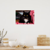 白黒キティ猫カスタマイズ可能ポスター ポスター (キッチン)