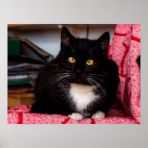 白黒キティ猫カスタマイズ可能ポスター