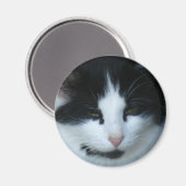 白黒キティ猫 マグネット (正面/裏面)