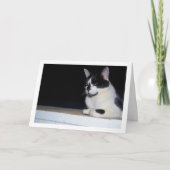 白黒キャットアットナイトポートレート カード (正面)