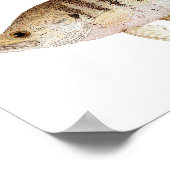 白黒クラッパイアートポスター ポスター (角)