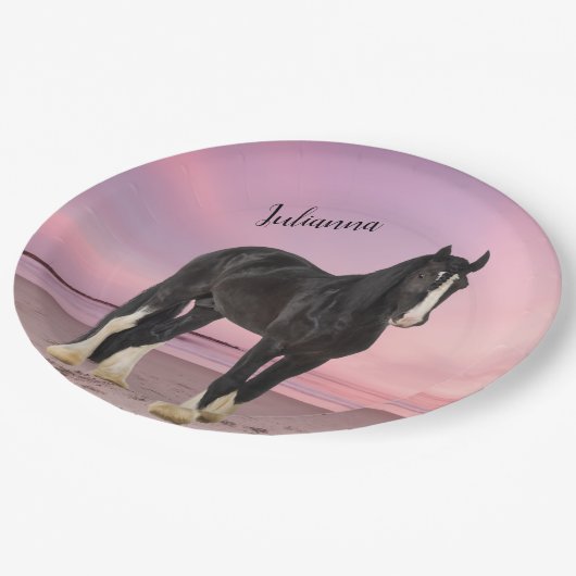 白黒クリデールオンザサンセットビーチ ペーパープレート (アングル)