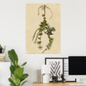 白黒クリーパー ポスター (ホームオフィス)