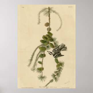 白黒クリーパー ポスター