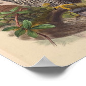 白黒クレストイーグルバードヴィンテージアートプリント ポスター (角)