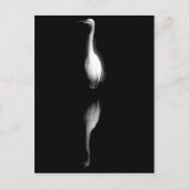 白黒クレーンの写真 ポストカード (正面)