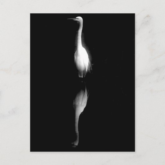白黒クレーンの写真 ポストカード (正面)