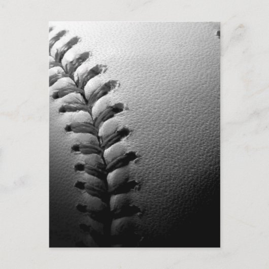 白黒クローズアップ野球 ポストカード (正面)