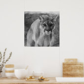 白黒クーガーポスター ポスター (キッチン)