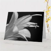 白黒グリーティングカードでの友情 カード (黄色い花)