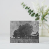 白黒コットンフィールドはがき ポストカード (スタンド正面)