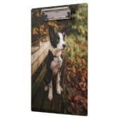 白黒コリー縁どオンパークベンチ クリップボード (左)