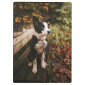 白黒コリー縁どオンパークベンチ クリップボード (裏面)