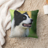 白黒コリー縁どドッグ クッション (ブランケット)