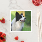 白黒コリー縁どドッグ スタンダードカクテルナプキン (インサイチュ)