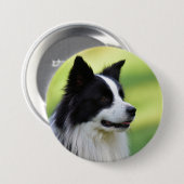 白黒コリー縁どドッグ 缶バッジ (正面&裏面)