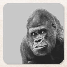 白黒ゴリラ
